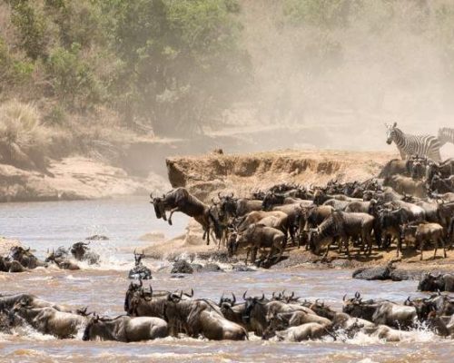 Serengeti_National_Park_026